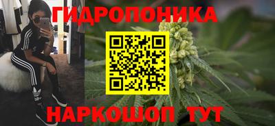 гашик Славгород