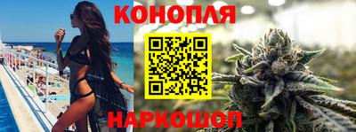 гашик Славгород
